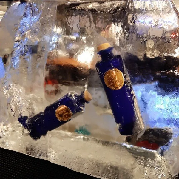 Le Gin Avem Hippolais dans la glace