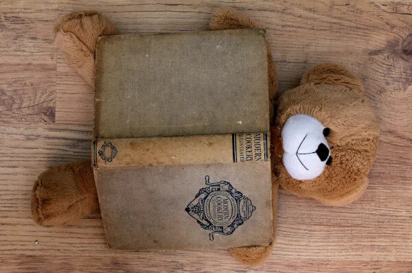 Ourson avec un livre de recettes de cuisine