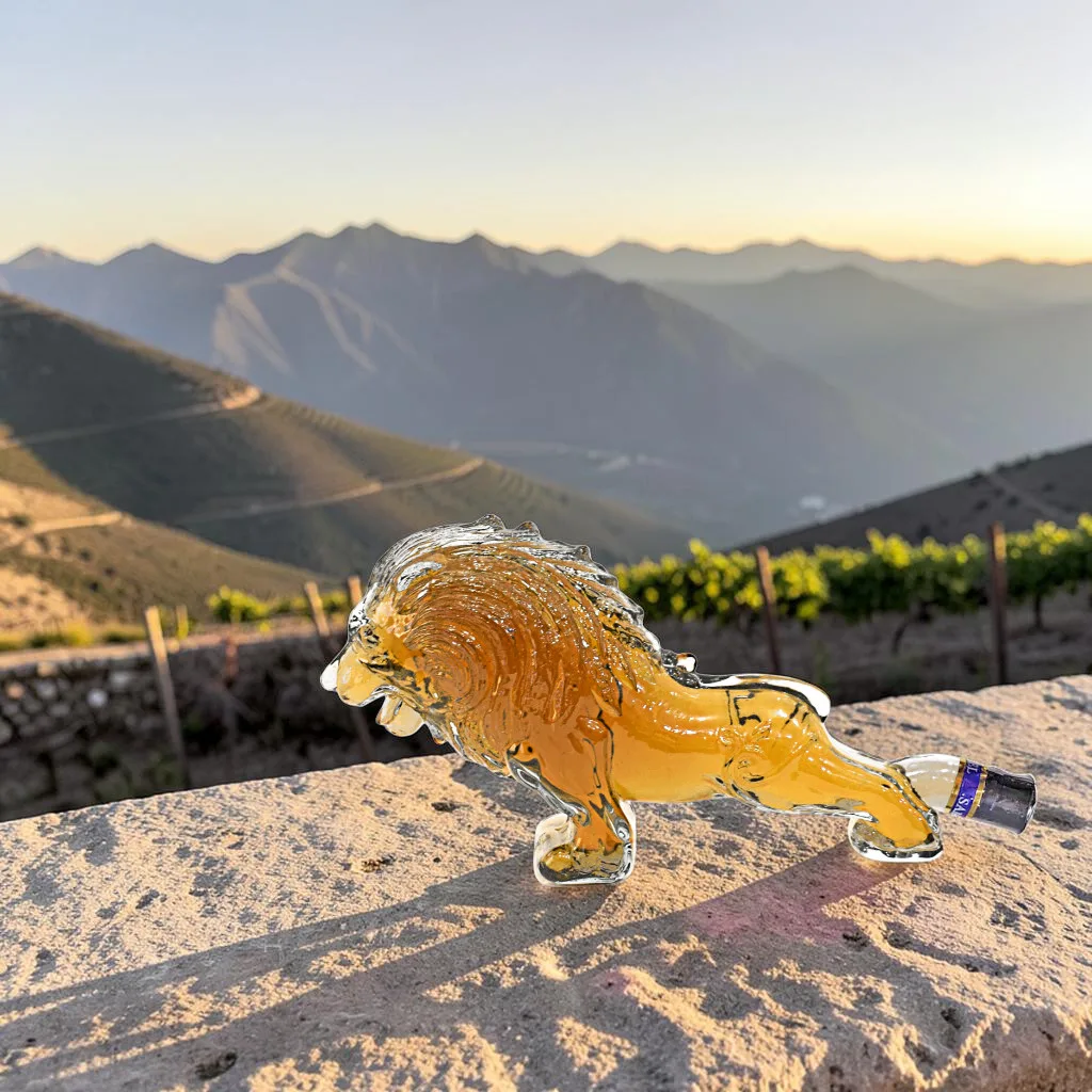 Brandy Arménien Samvel 10 ans - Lion
